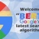 google-bert