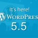 wp5.5